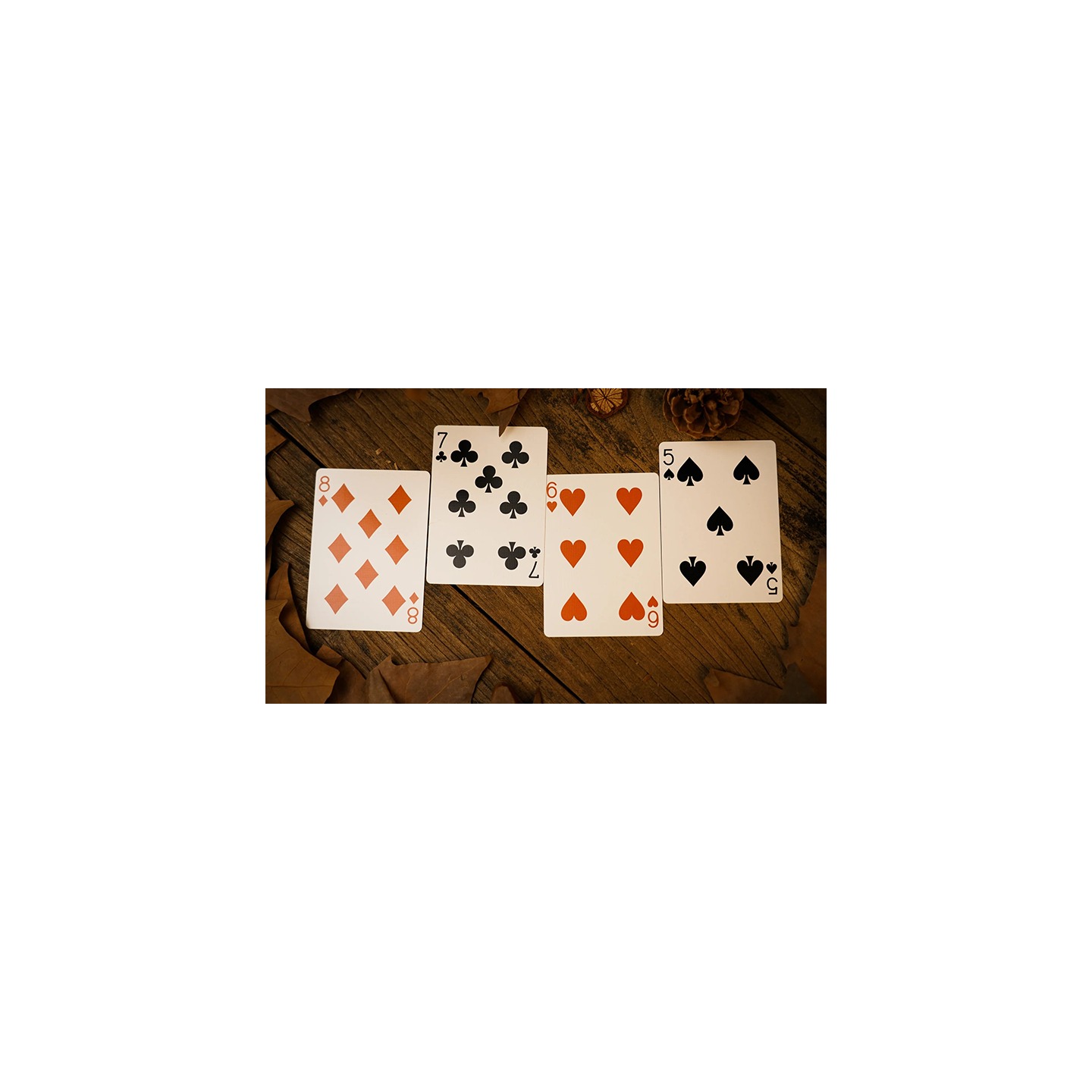 Forest elf Badger Playing Cards