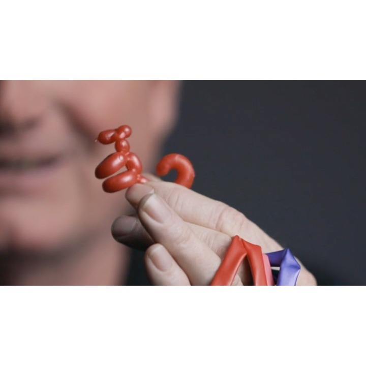 Animinimals (Gimmicks and Online Instructions) by Billy Damon