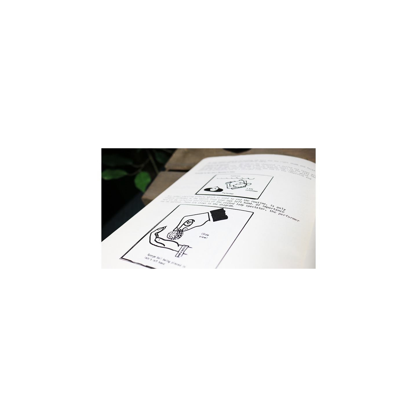 Stand-Up Sponges by Ken de Courcy - Book