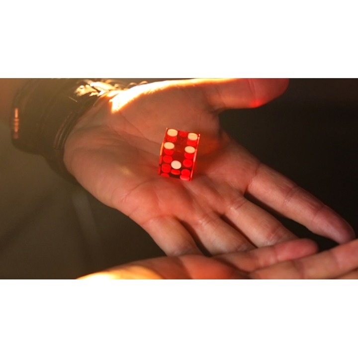Gecko Pro System (Gimmicks and Online Instructions) by Jim Rosenbaum