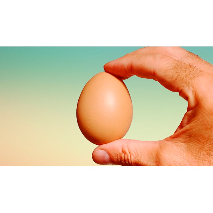 Fake Egg Brown by Quique Marduk