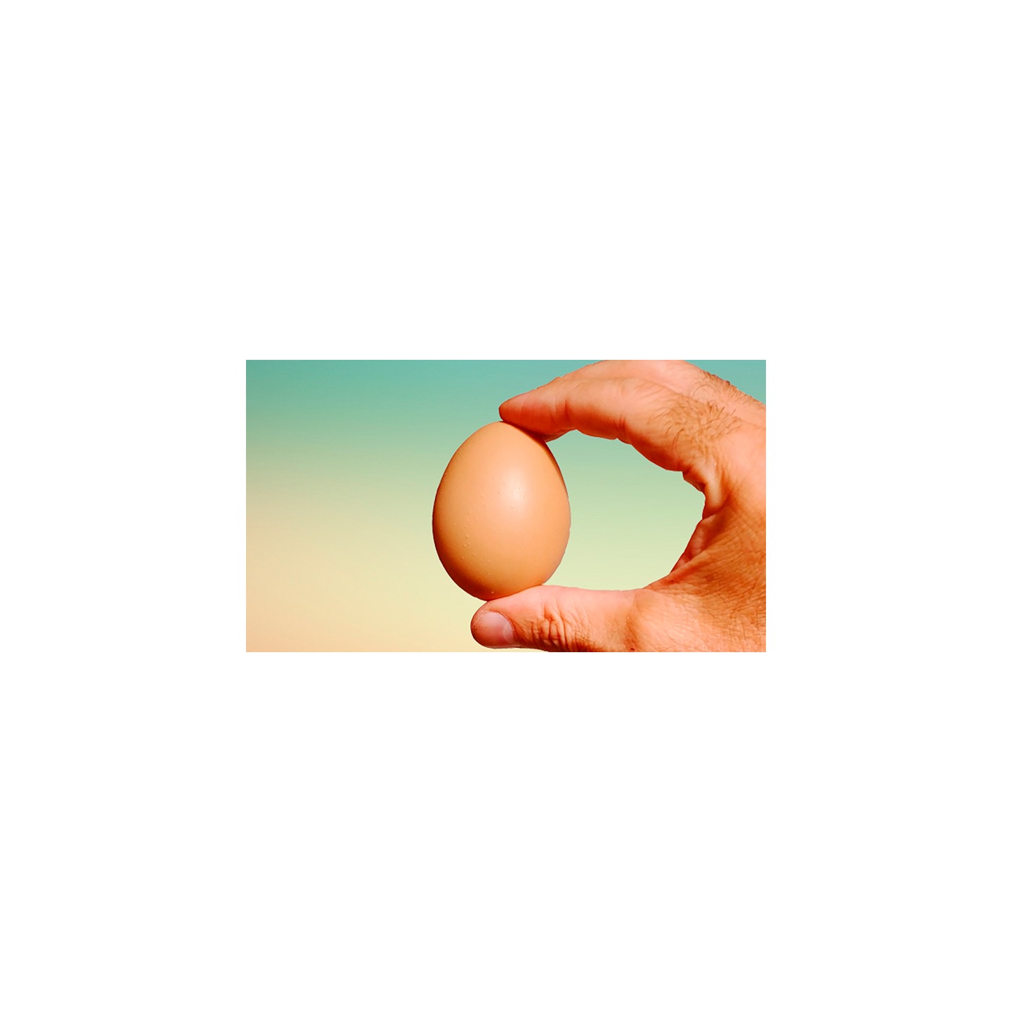 Fake Egg Brown by Quique Marduk