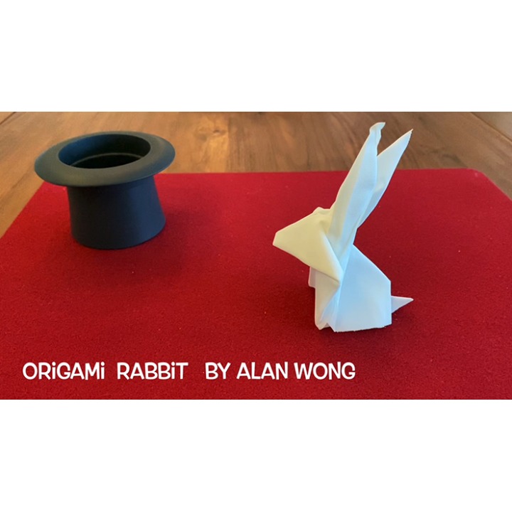 Origami Rabbit by Alan Wong