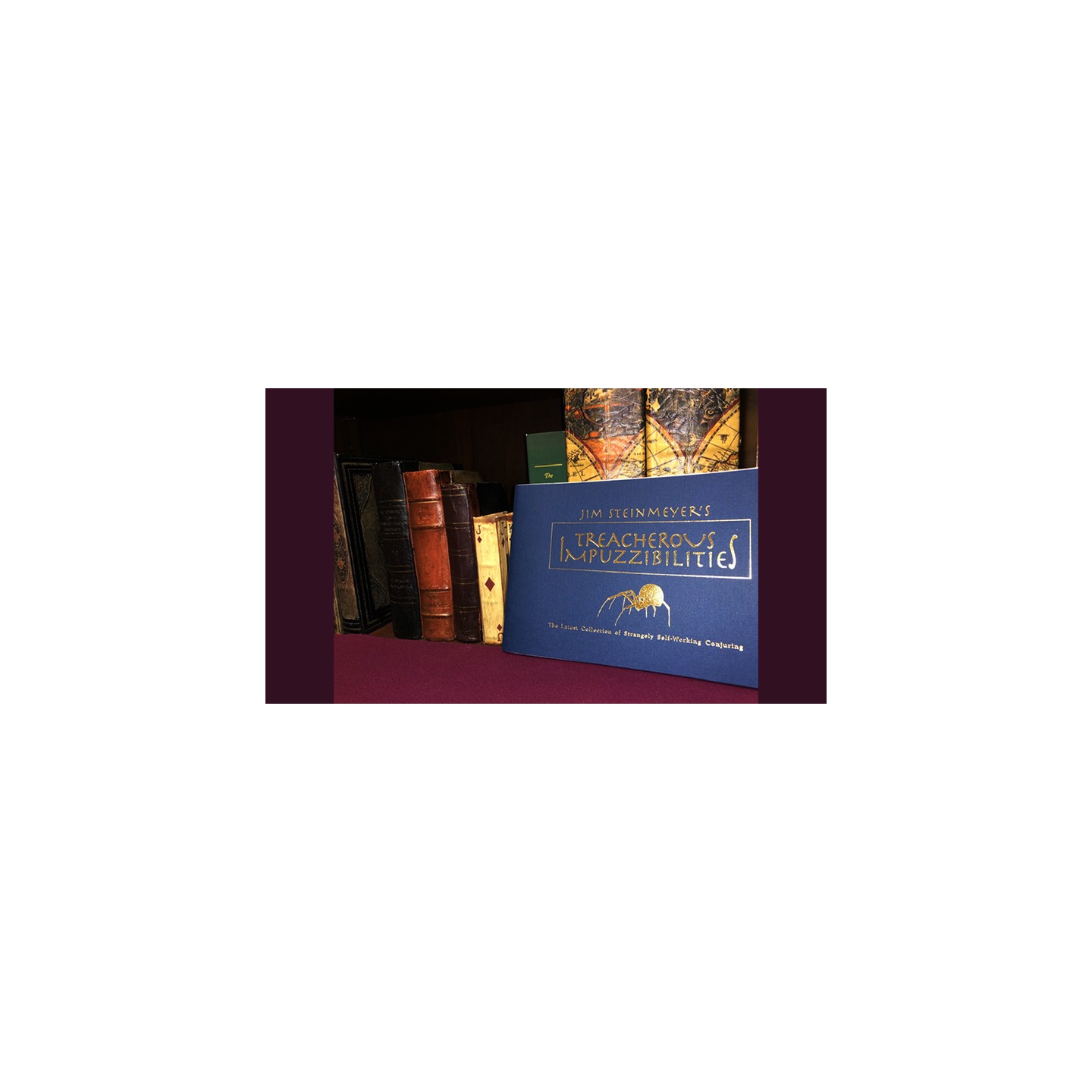 Treacherous Impuzzibilities by Jim Steinmeyer - Book