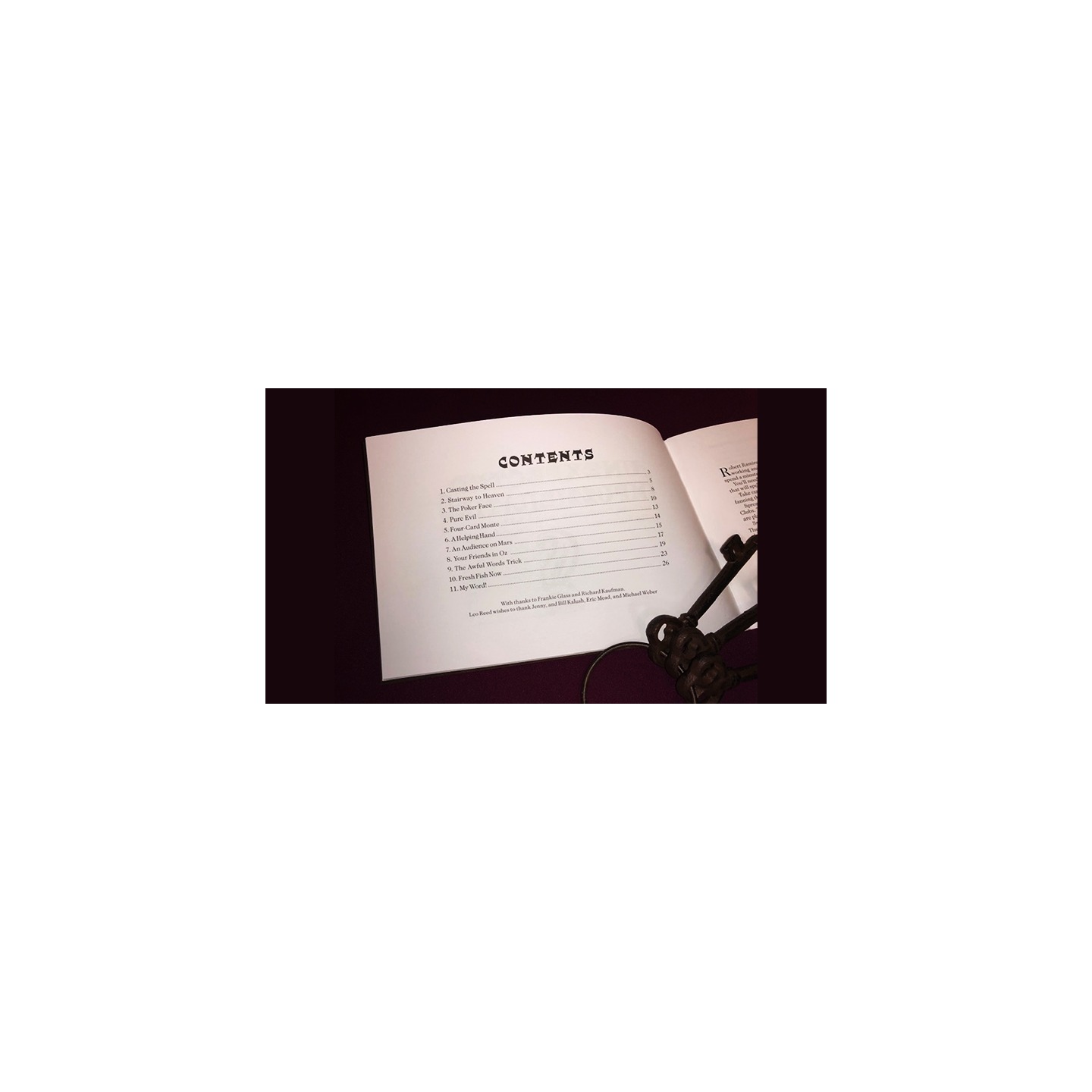 Unexpected Impuzzibilities by Jim Steinmeyer - Book