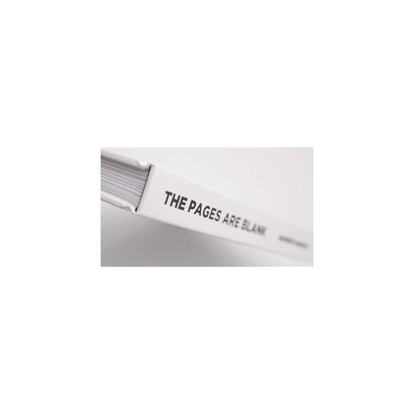 The Pages Are Blank by Michael Feldman - Book