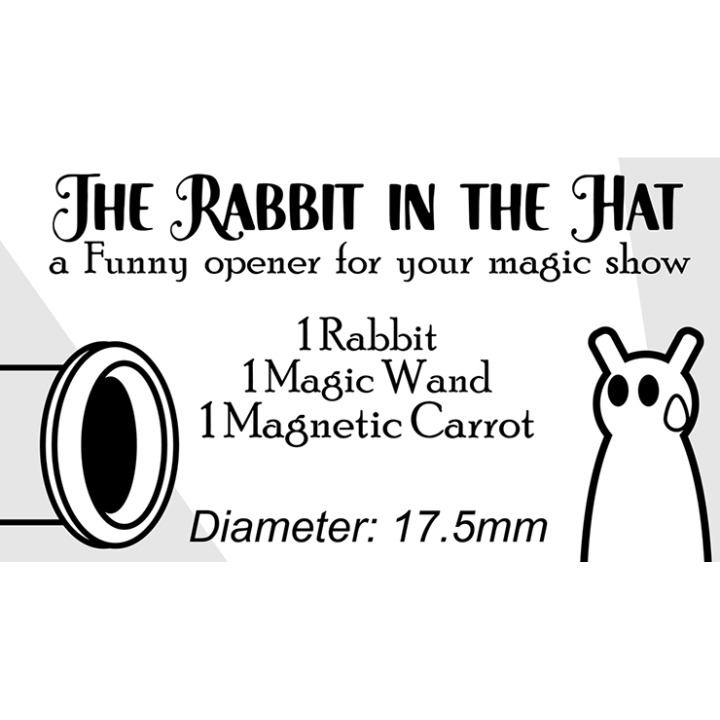 The Rabbit In the Hat by Creativity Lab