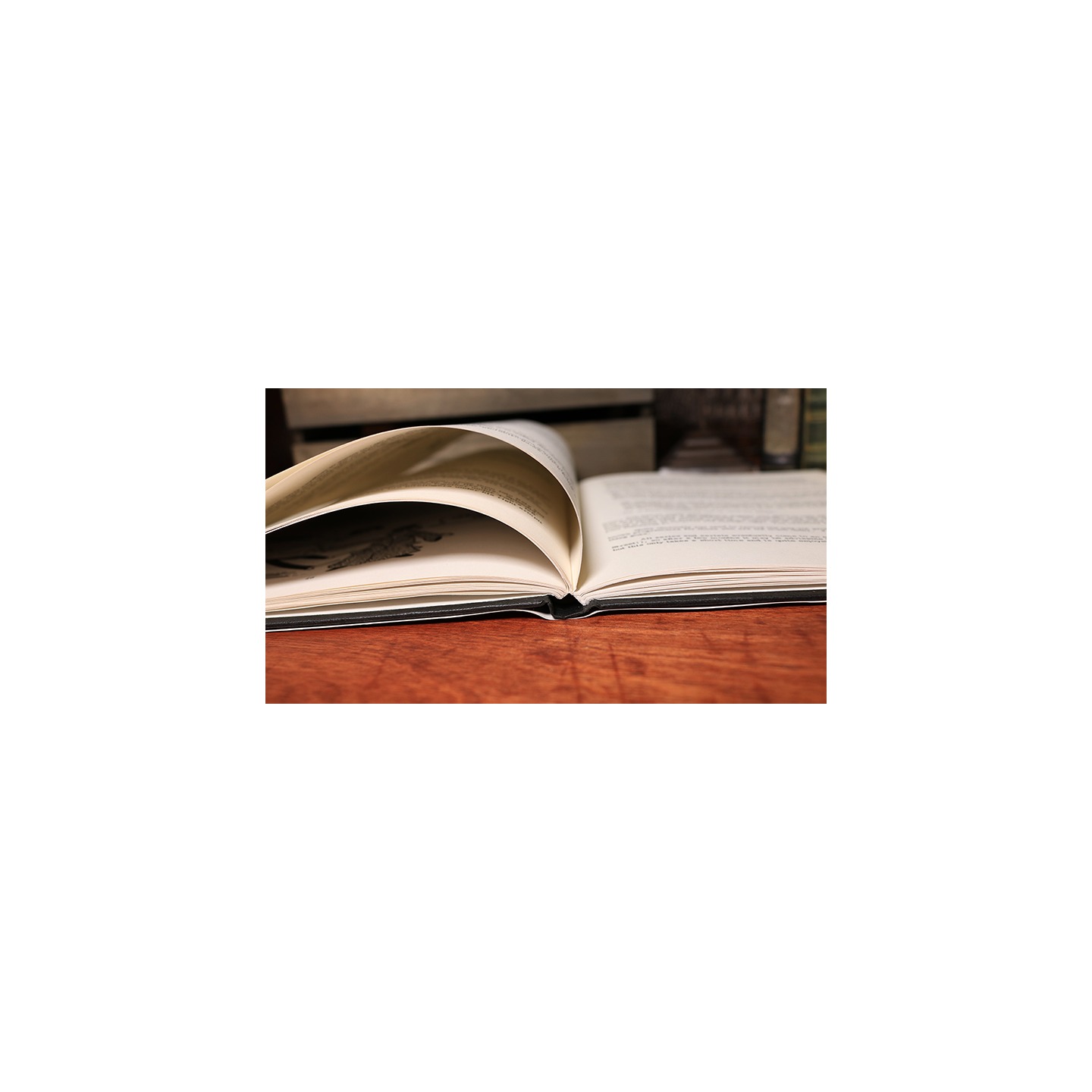 Profit at the Party (Limited/Out of Print) by David Hallett - Book