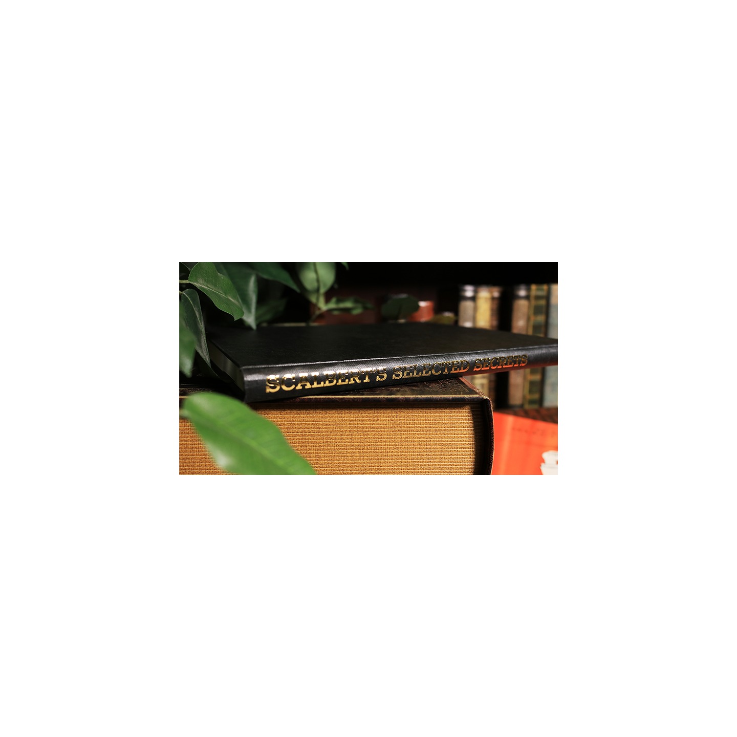 Scalbert's Selected Secrets (Limited/Out of Print) by Geoffrey Scalbert - Book