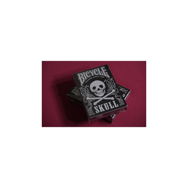 Bicycle Skull Metallic (Silver) USPCC by Gambler's Warehouse