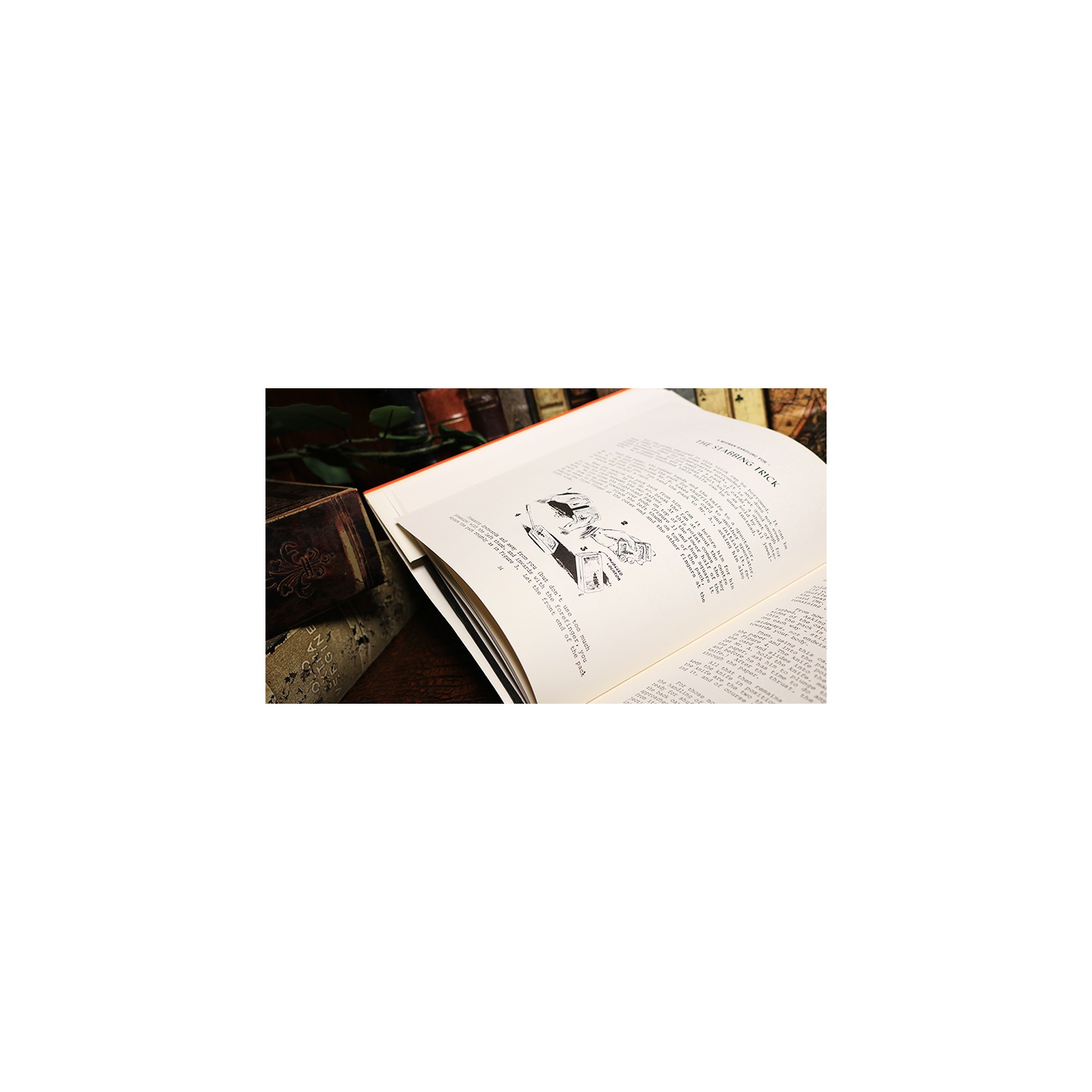 Scalbert's Selected Secrets (Limited/Out of Print) by Geoffrey Scalbert - Book