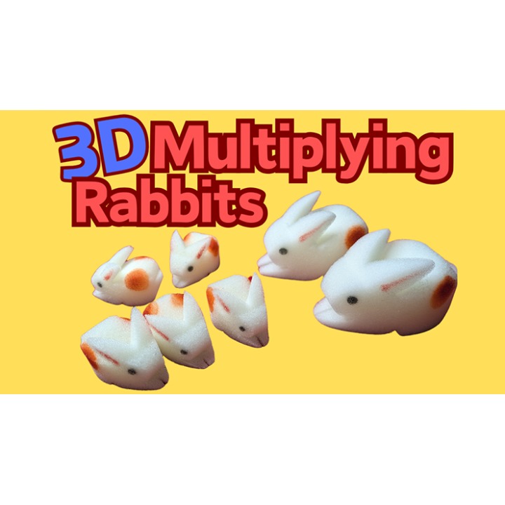 3D Multiplying Rabbits (7 Pc Mom and Pop with 5 babies) Set