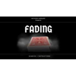 Fading (Red) by Anthony Vasquez