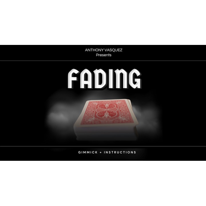 Fading (Red) by Anthony Vasquez