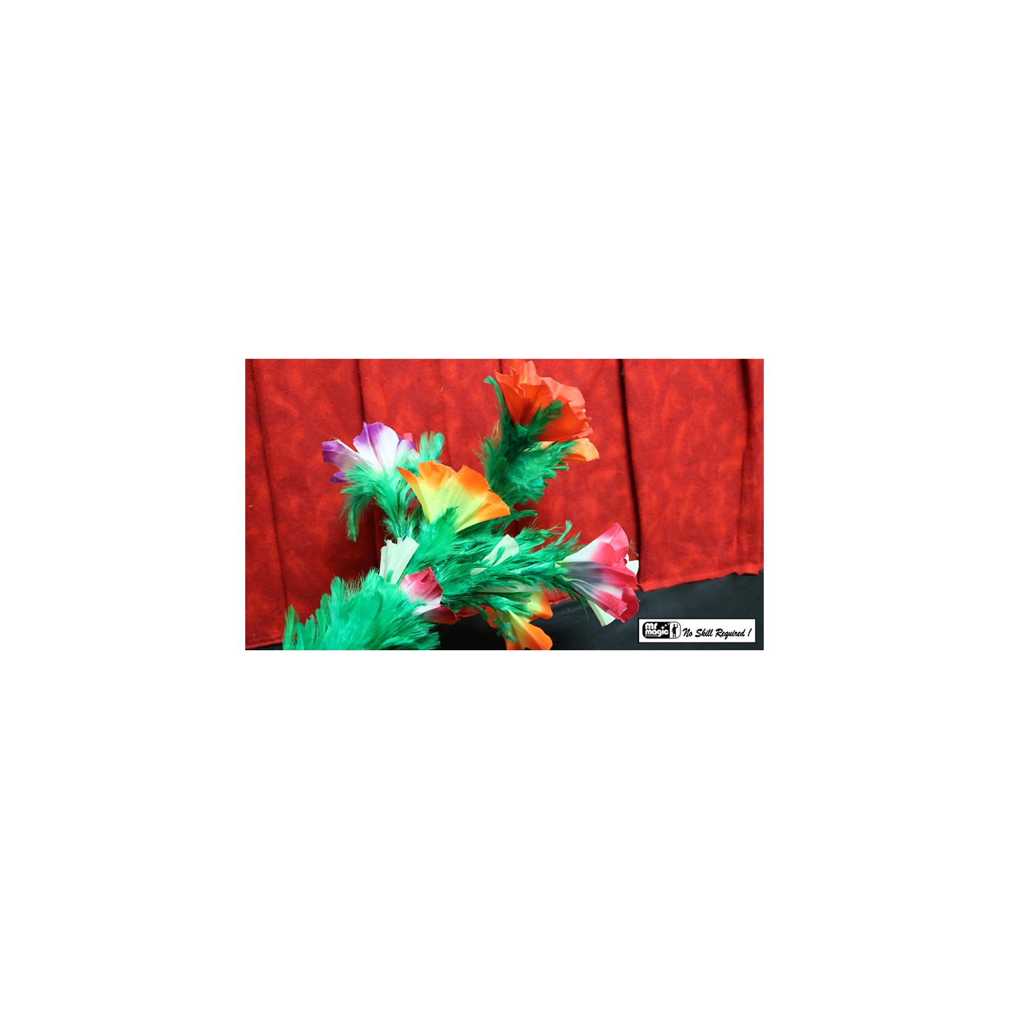 Giant Feather Fantasy by Mr. Magic
