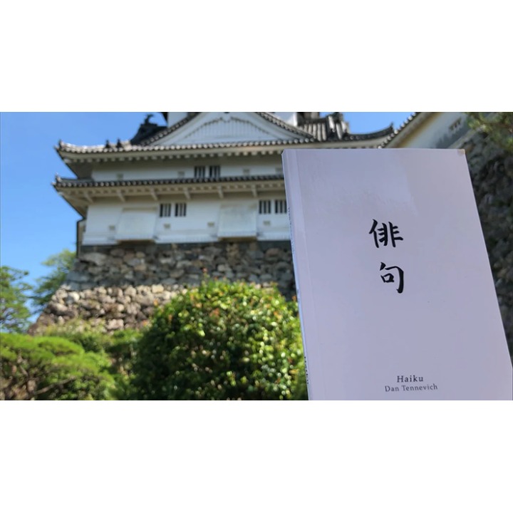 Haiku Book Test 2.0 by Vincent Hedan