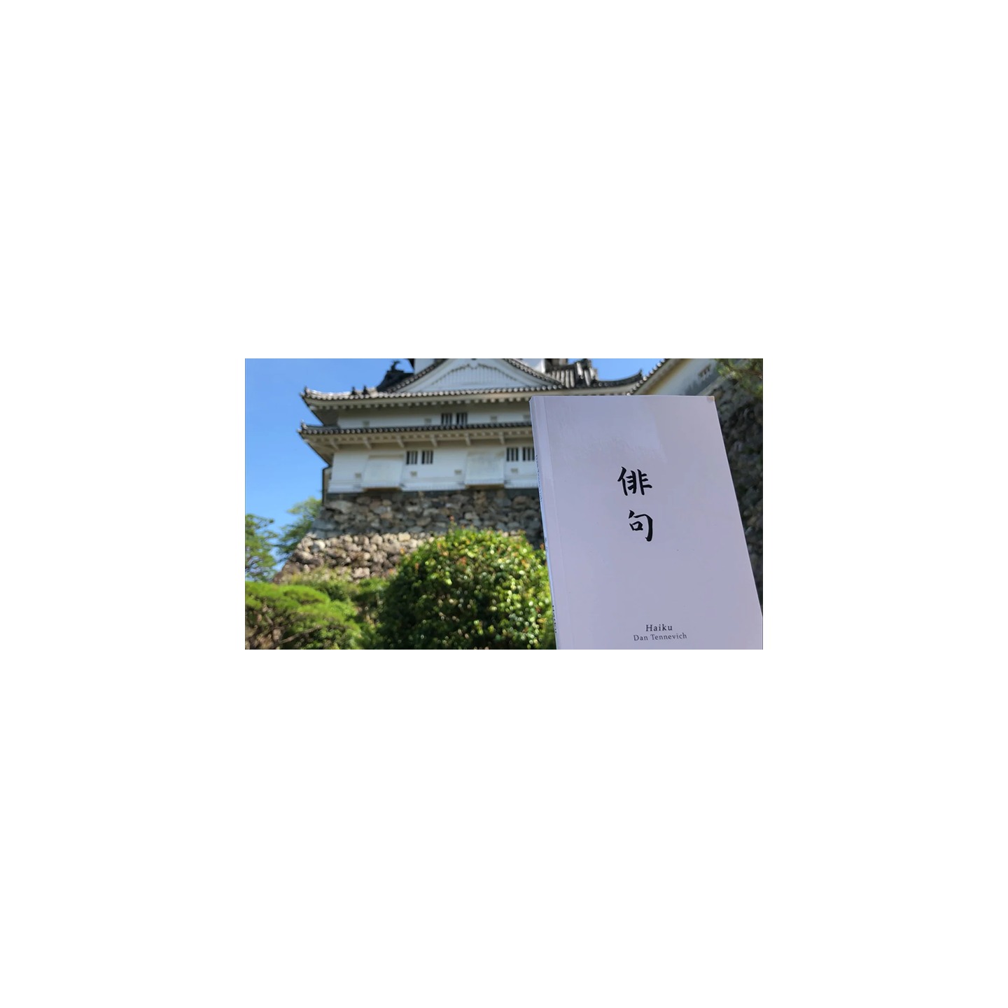 Haiku Book Test 2.0 by Vincent Hedan