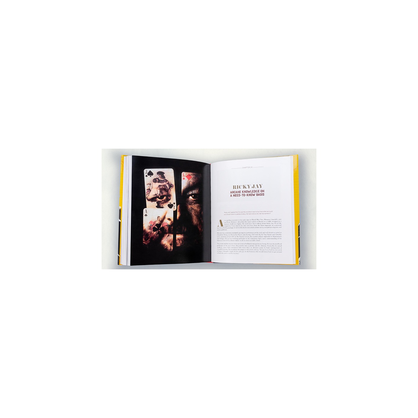 Heroes of Magic by John Fisher - Book