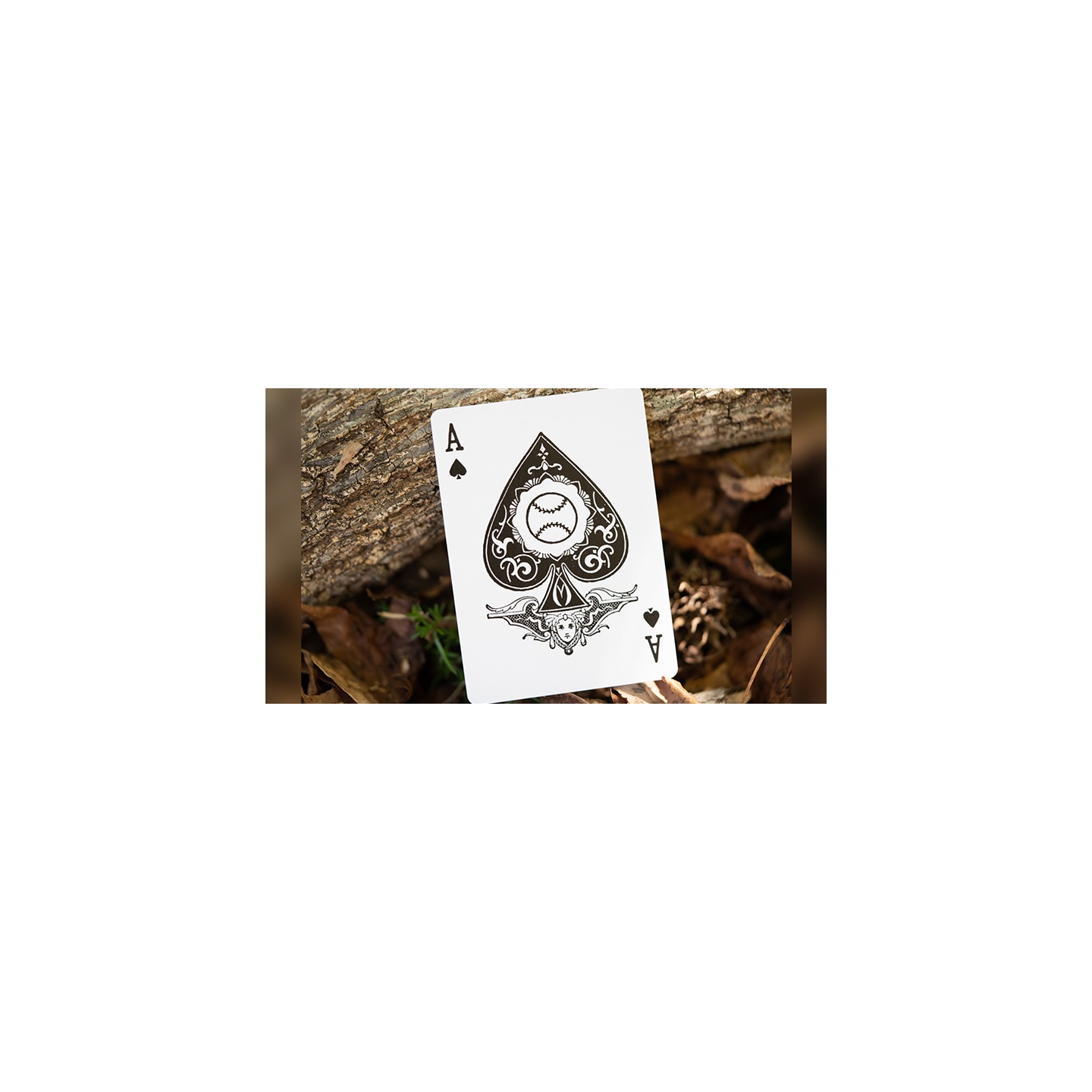 DeLand's Daisy Deck (Centennial Edition)