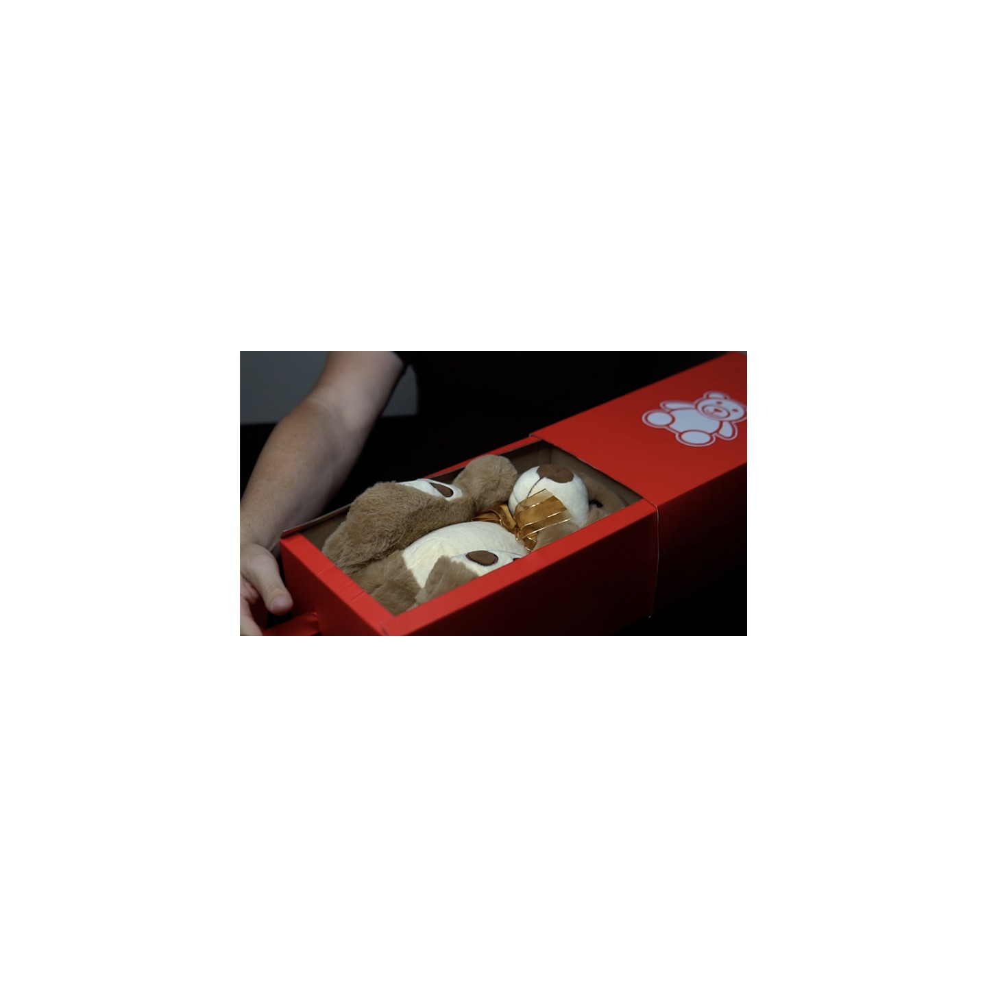 MAGIC BOX RED Medium by George Iglesias and Twister Magic