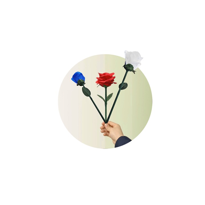 Rainbow Rose by JL Magic