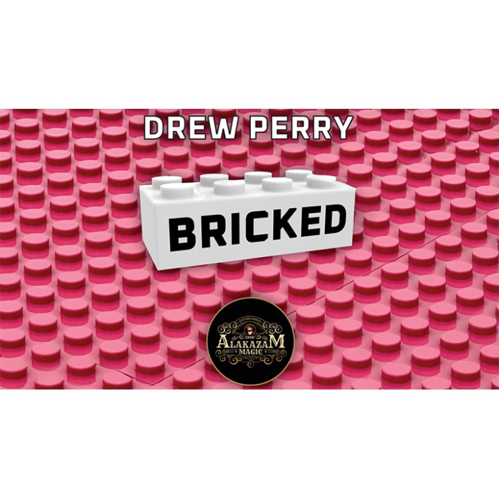 Bricked by Drew Perry