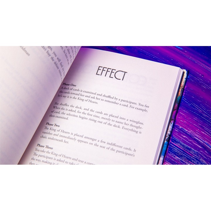 Principles of Destruction by Ben Seidman