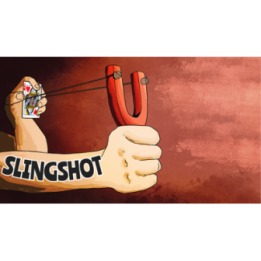 The Slingshot by Joel Anthony