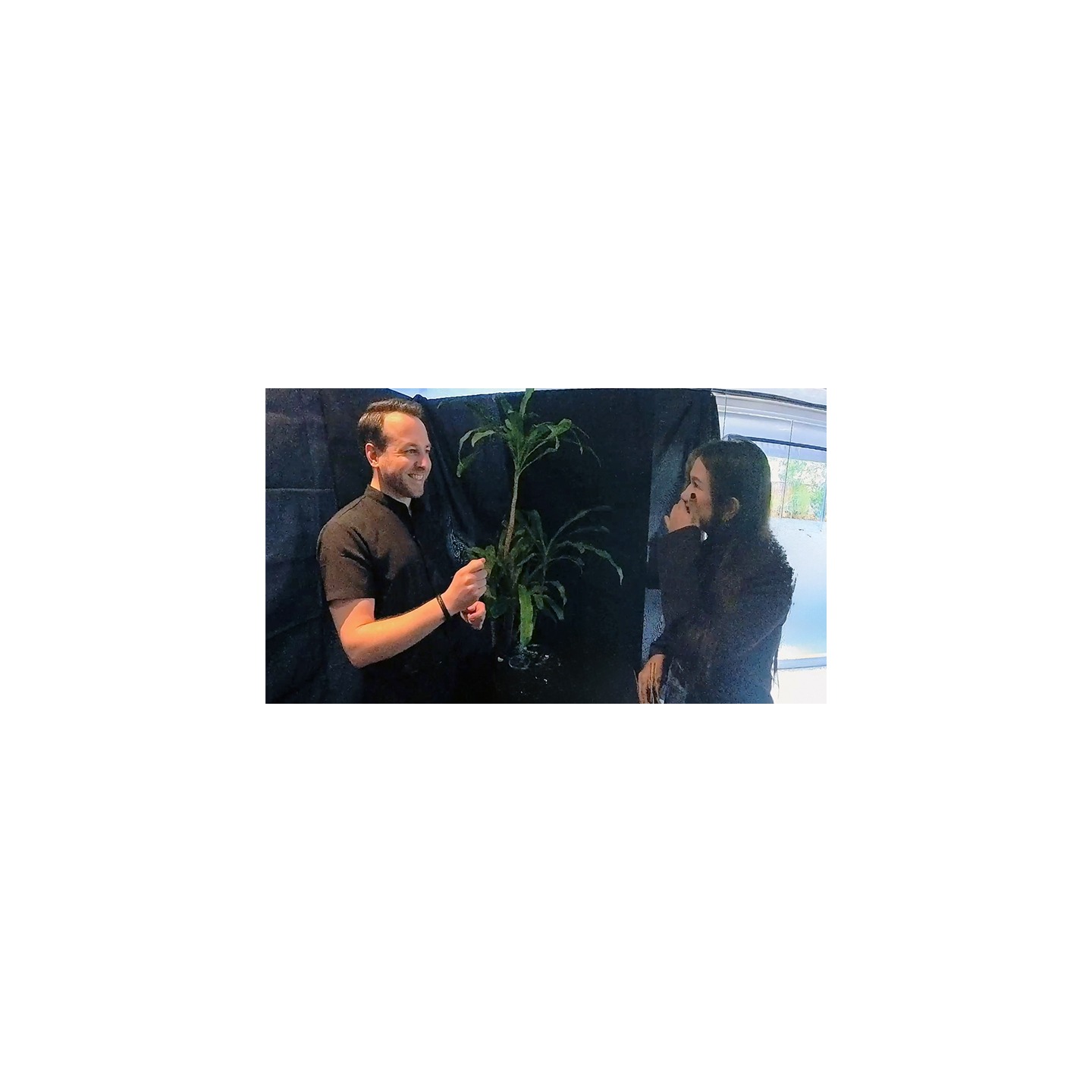 Echo Book Test by Vincent Hedan (Rider-Waite Tarot)