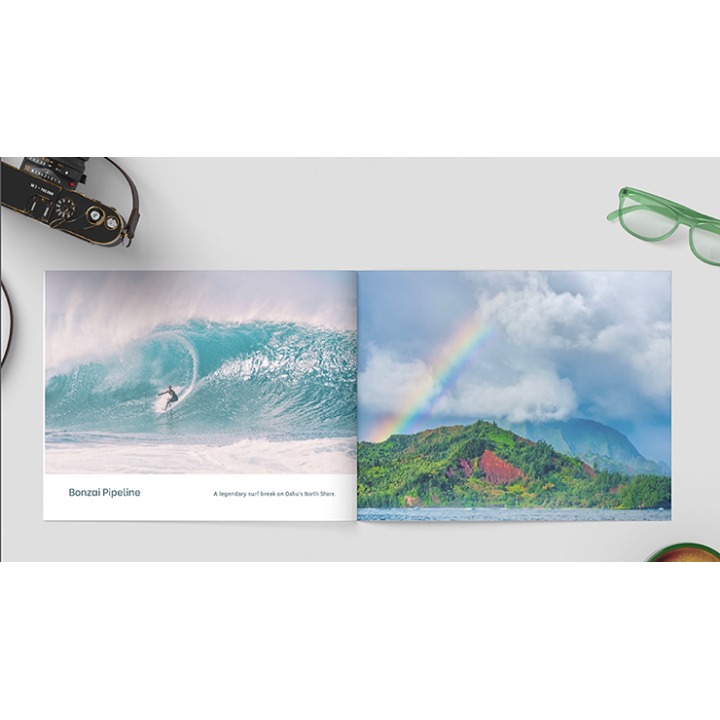 Zandman's Hawaii