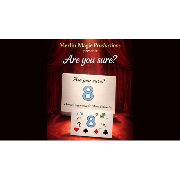 Are You Sure? by Damien Vappereau and Marc Céliandre