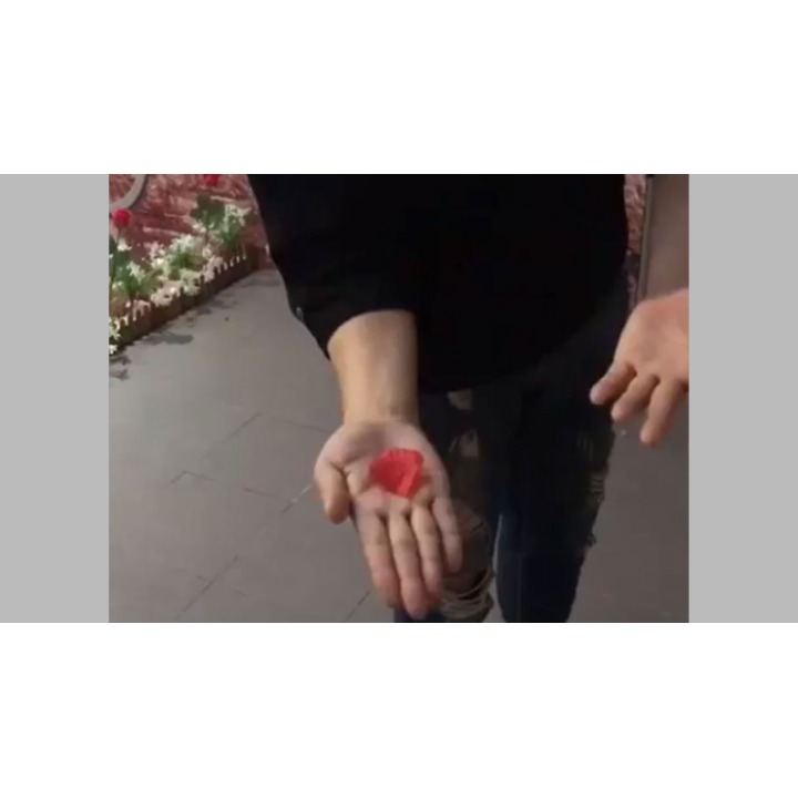 PETAL TO COIN by JL Magic