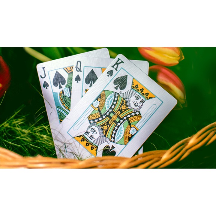 Butterfly Seasons Playing Cards Marked (Spring) by Ondrej Psenicka