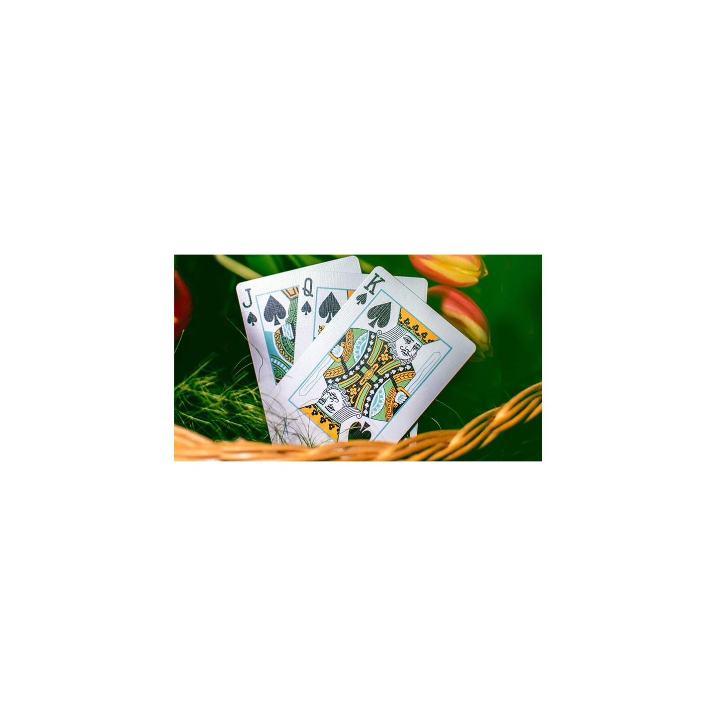 Butterfly Seasons Playing Cards Marked (Spring) by Ondrej Psenicka