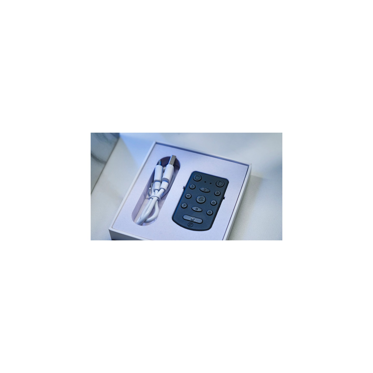 PITATA Palm Remote