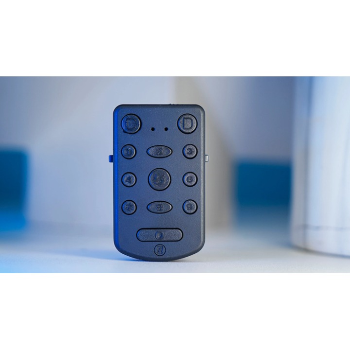 PITATA Palm Remote