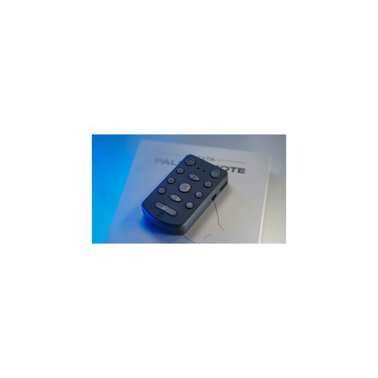 PITATA Palm Remote