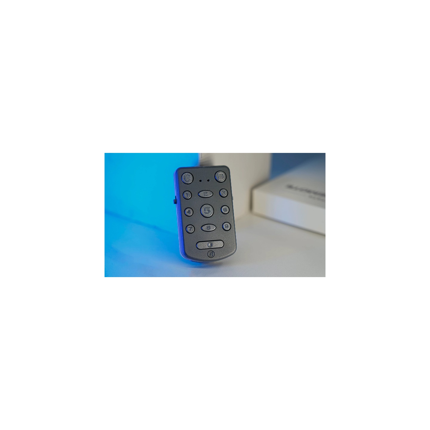 PITATA Palm Remote