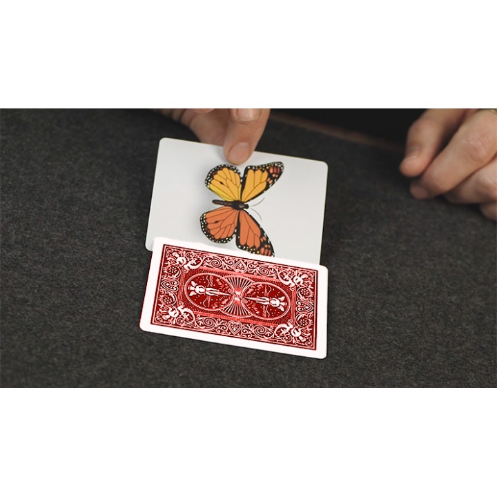 Caterfly (Red) by My Magical Project
