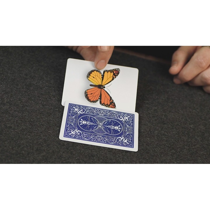 Caterfly (Blue) by My Magical Project