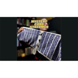 Mystery Card Streamer (Blue 6 of Clubs) by PlayTime Magic DEFMA