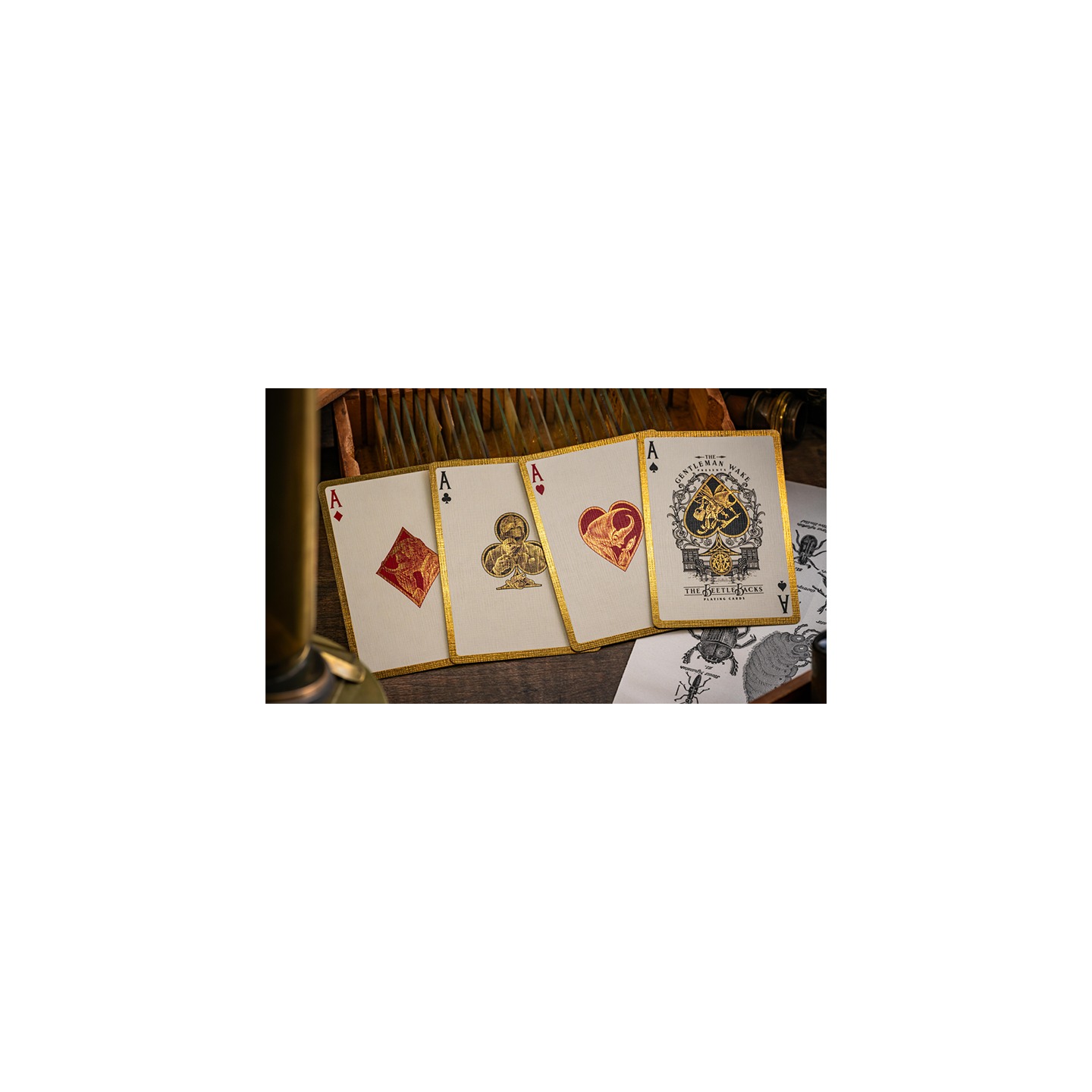 The Beetle Backs (Dynastinae Edition) Playing Cards