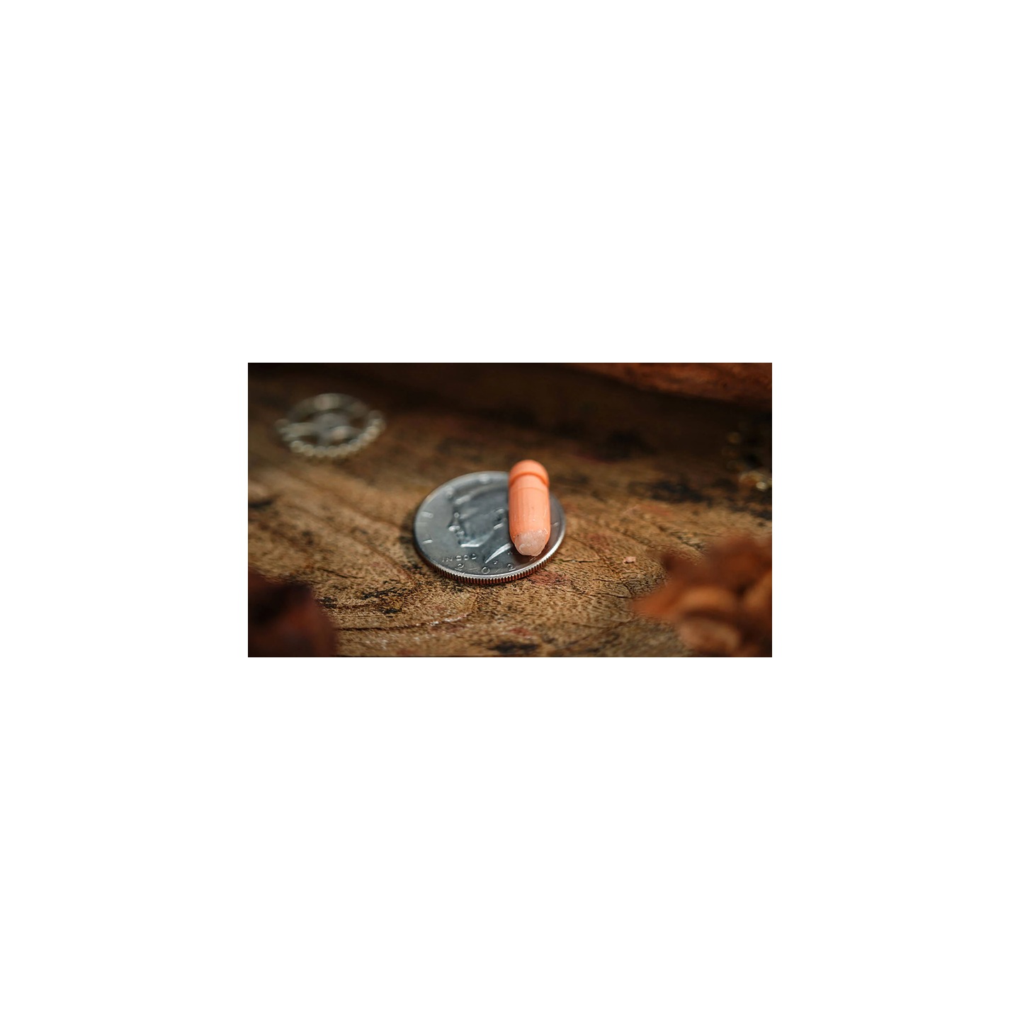 Capsule by Million & Egg & TCC Magic
