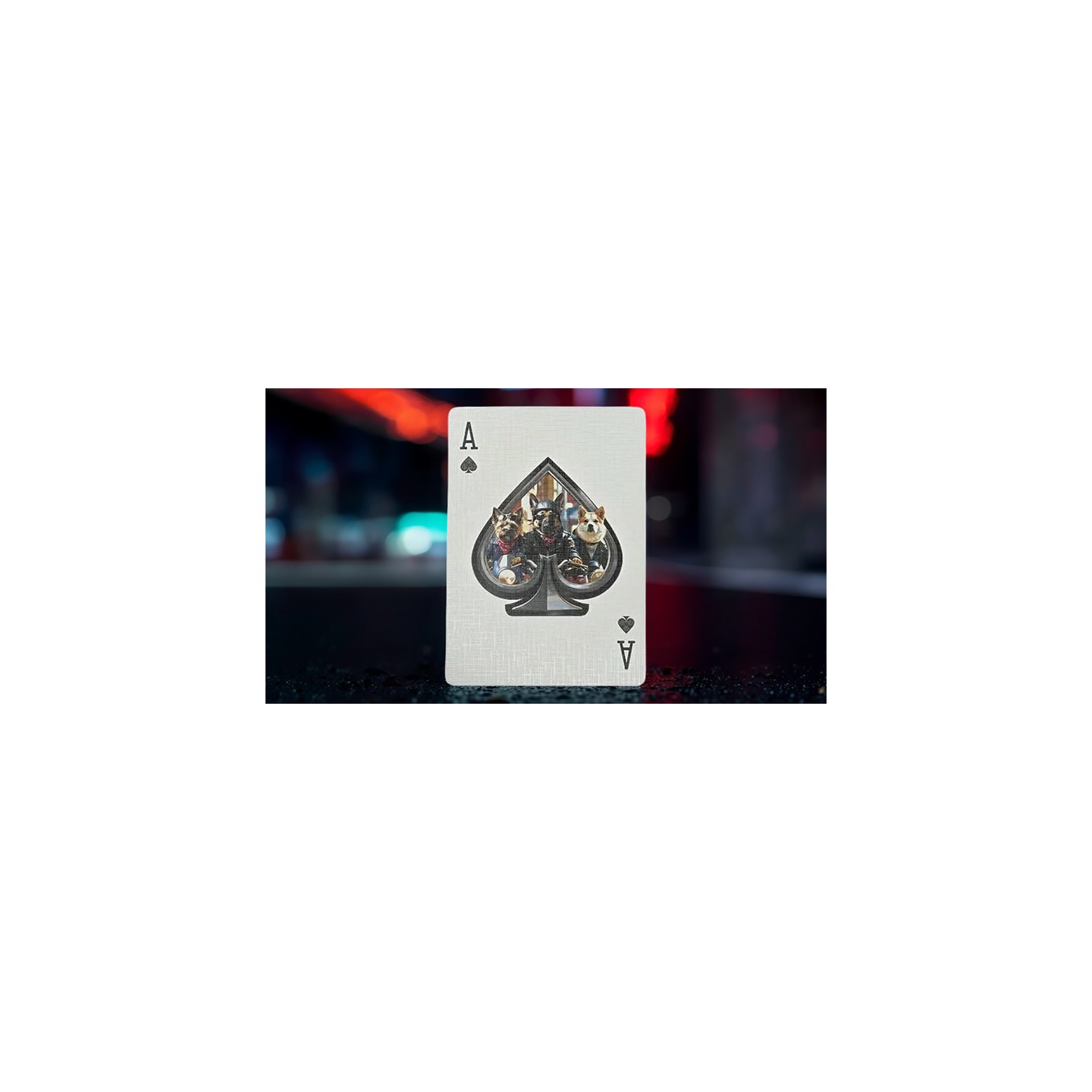 Biker Dogs Playing Cards by Collectable Playing Cards