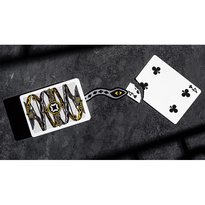Snakes and Ladders Deck by Mechanic Industries