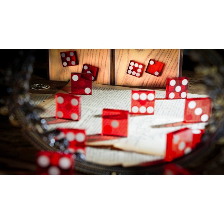 Michael Breggar's Flat Dice by TCC Magic