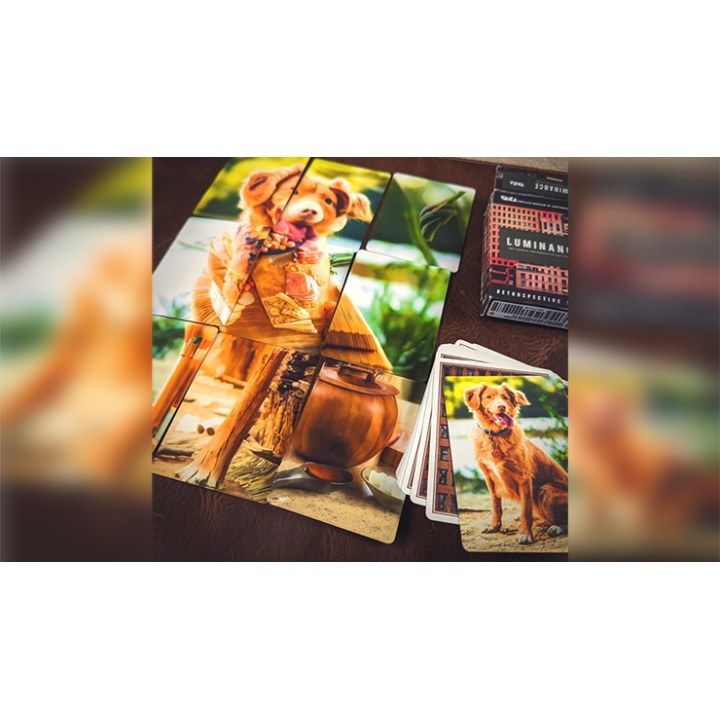 FMPX (Fusion Mosaic Phenomenon) Standard Edition Playing Cards