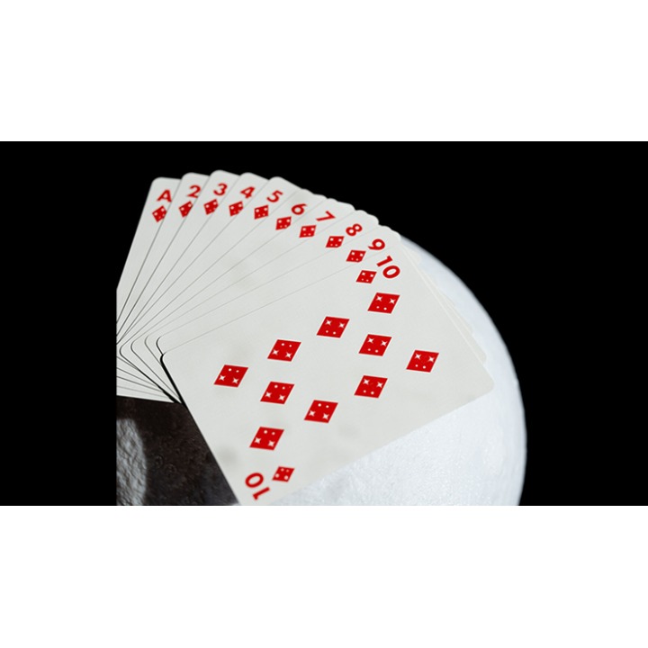 NASA Foil Meatball Logo Playing Cards