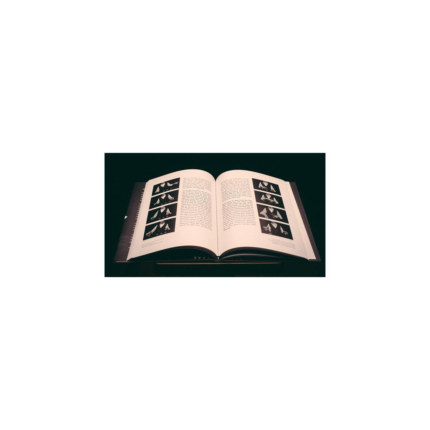 Coins and Other Fables by Luis Piedrahita - Book