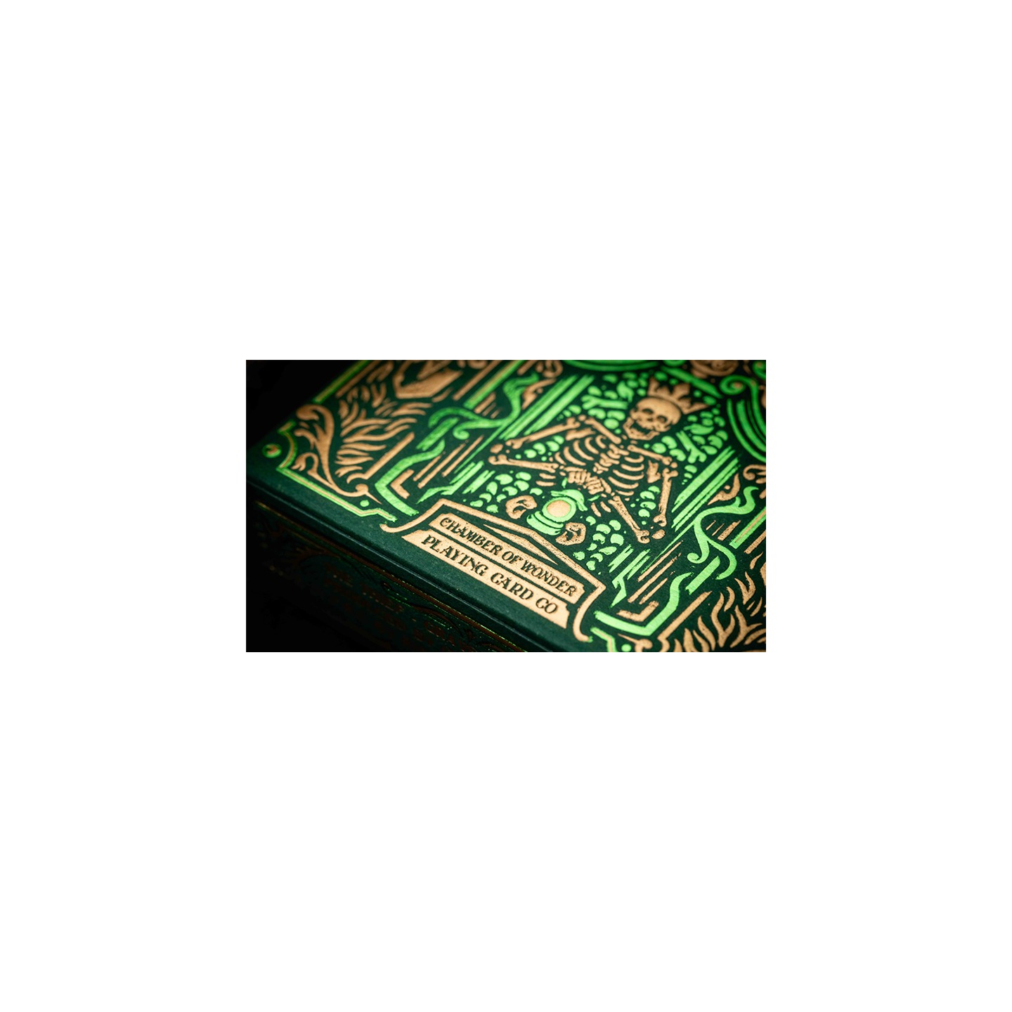 The Thief: Verdant Dawn Edition Playing